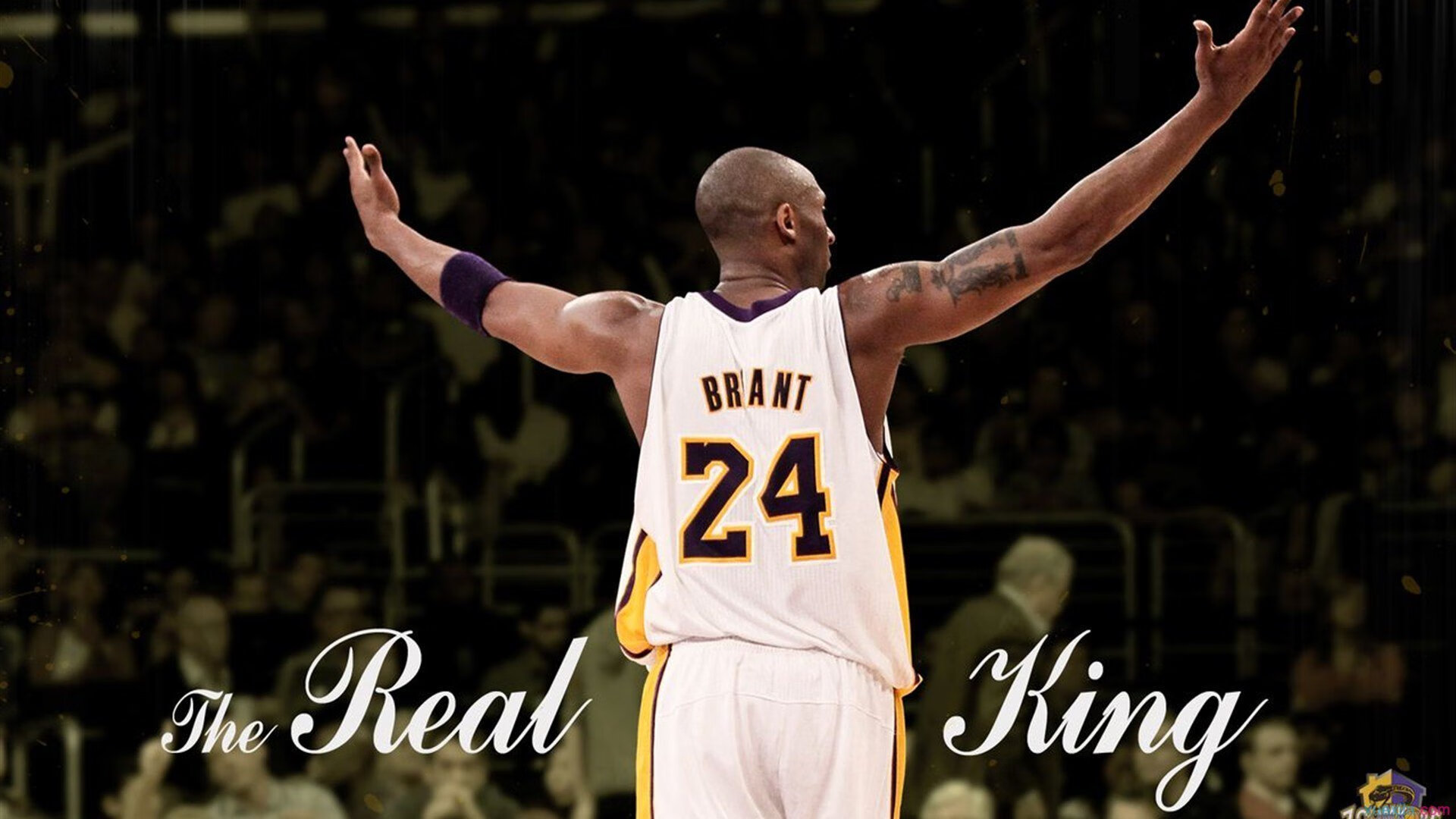 健身训练科学研究